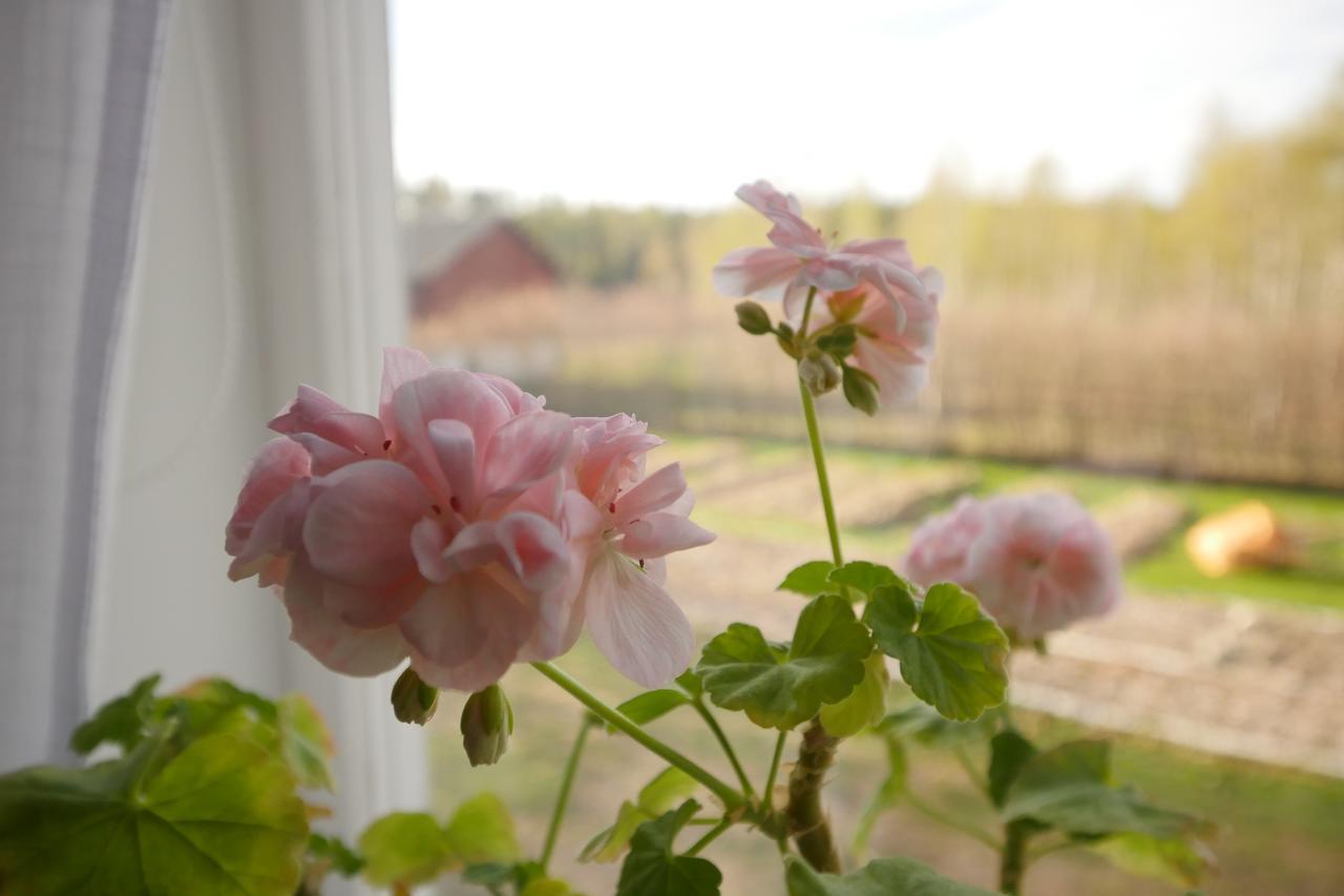 Groena Anaes Bed & Breakfast ostra Loa Bagian luar foto