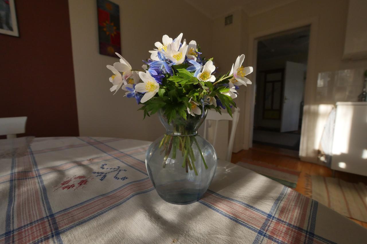 Groena Anaes Bed & Breakfast ostra Loa Bagian luar foto